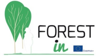 FOREST IN logo